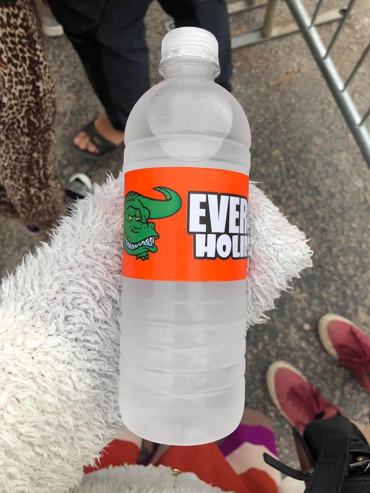 Everglades Holiday Park Airboat Tours...