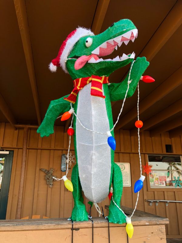 アメリカ(米国)・フロリダ「カリブ海クルーズで周遊！」の写真：Everglades Holiday P...