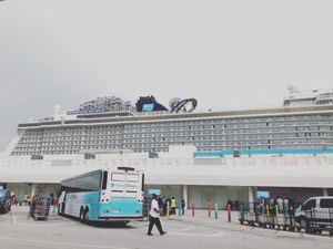 マイアミ港へ到着

この港は広すぎて毎回迷子になりそうになる💦
しかも帰る...