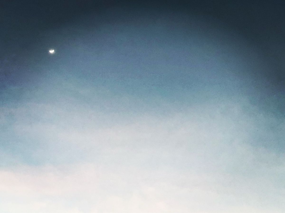 クルーズ船の後尾デッキからのサンセット
全然船酔いもなく
お酒飲みながらボ...