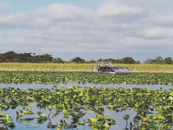 アメリカ(米国)・フロリダ「カリブ海クルーズで周遊！」の写真：Everglades Holiday P...