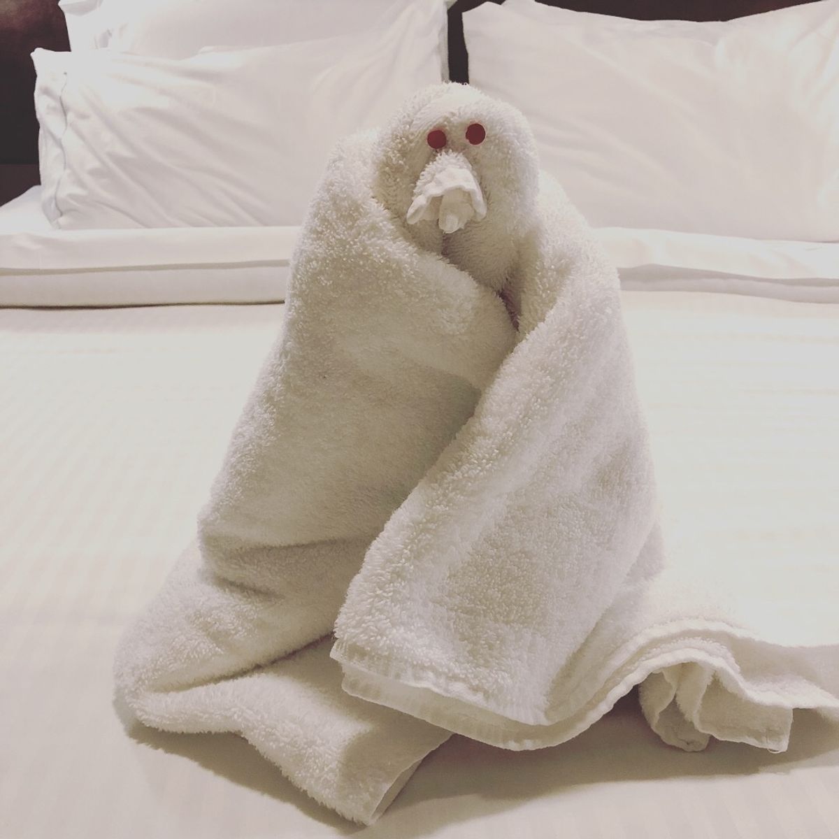 クルーズ船の室内清掃は
ベッドに毎日違う動物が添えられてて
毎日今日は何の...