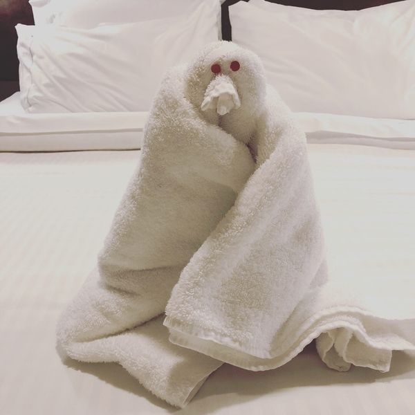 アメリカ(米国)・フロリダ「カリブ海クルーズで周遊！」の写真：クルーズ船の室内清掃は
ベッドに毎日違う...