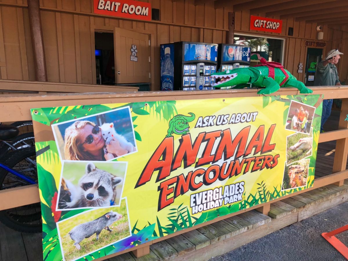 Everglades Holiday Park Airboat Tours...