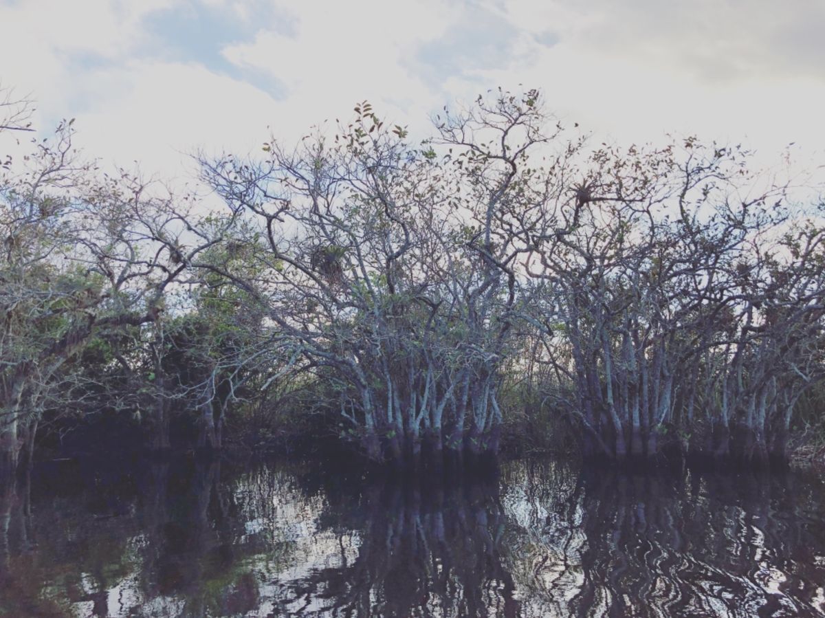 Everglades Holiday Park Airboat Tours...