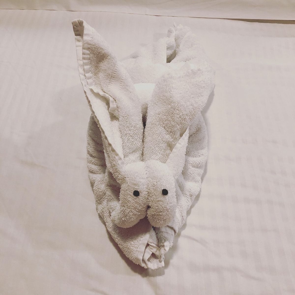 クルーズ船の室内清掃は
ベッドに毎日違う動物が添えられてて
毎日今日は何の...