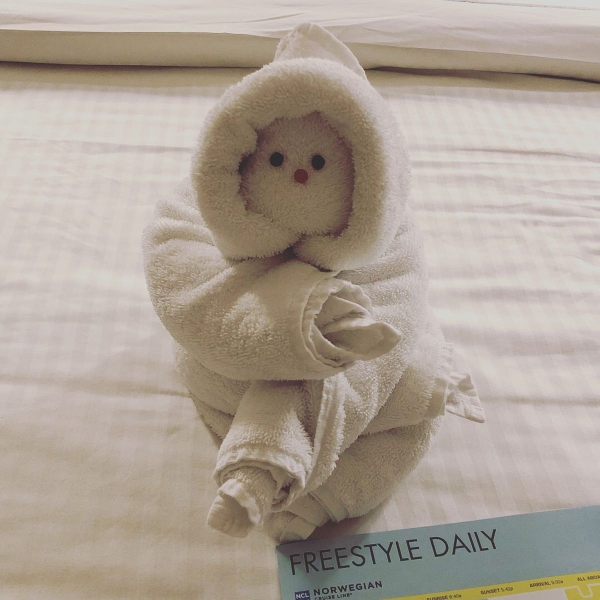 クルーズ船の室内清掃は
ベッドに毎日違う動物が添えられてて
毎日今日は何の...