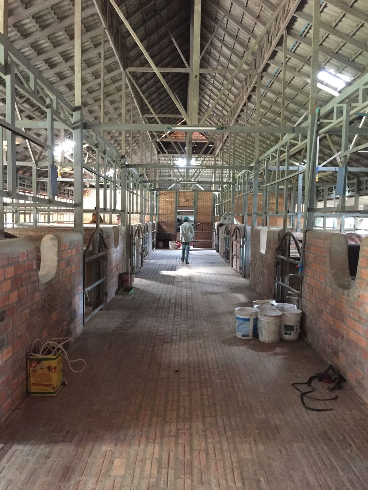 まずは厩舎を見学

ニャンコちゃんもいた🐈