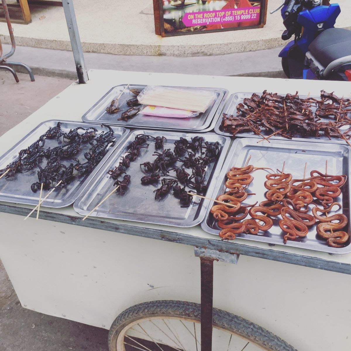 メキシコではバッタ🦗を美味しくいただいてるけど
コレはさすがに食べるの絶対...