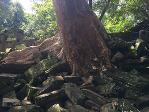 ベンメリア

本当にラピュタみたいな世界やなぁ