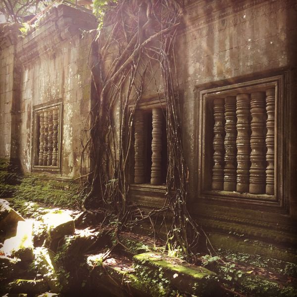 カンボジア・シェムリアップ「遺跡に圧倒された旅」の写真：ベンメリア

よく見ると積み上がった石に...