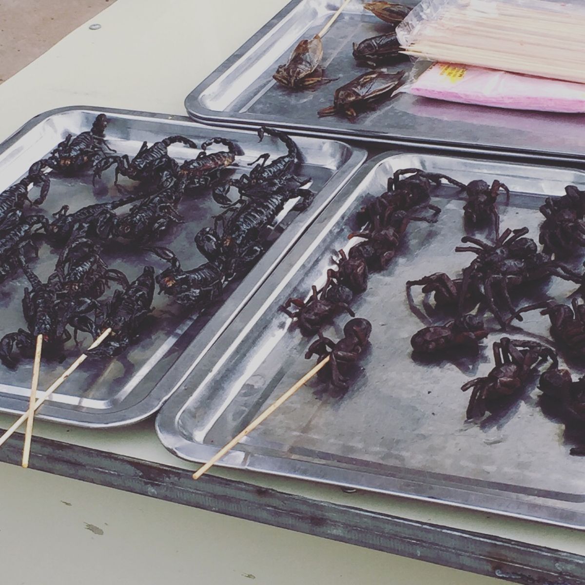 メキシコではバッタ🦗を美味しくいただいてるけど
コレはさすがに食べるの絶対...