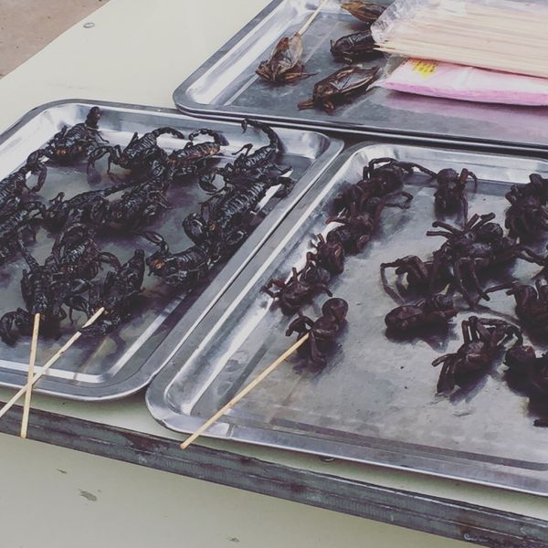 カンボジア・シェムリアップ「遺跡に圧倒された旅」の写真：メキシコではバッタ🦗を美味しくいただいて...