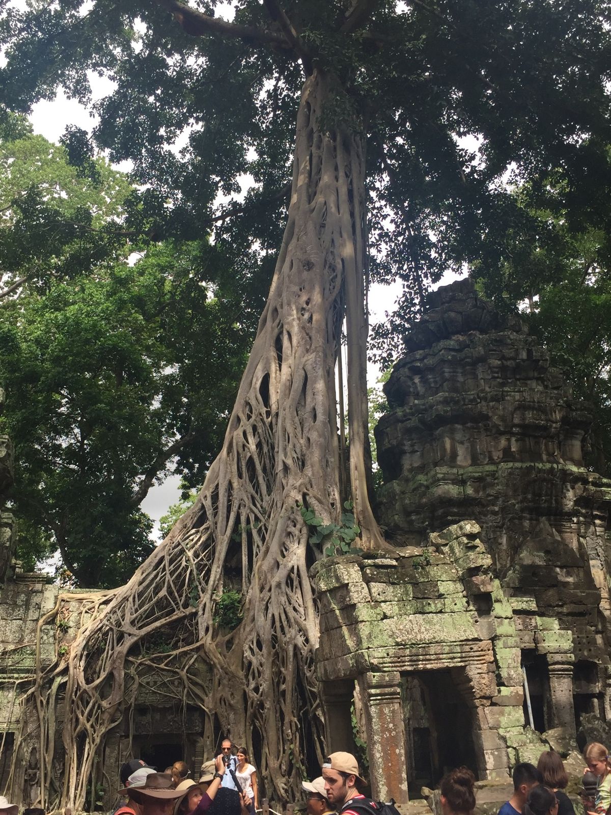 タ・プローム

ガイドさん達、写真撮ってくれるときに
並々ならぬこだわりを...