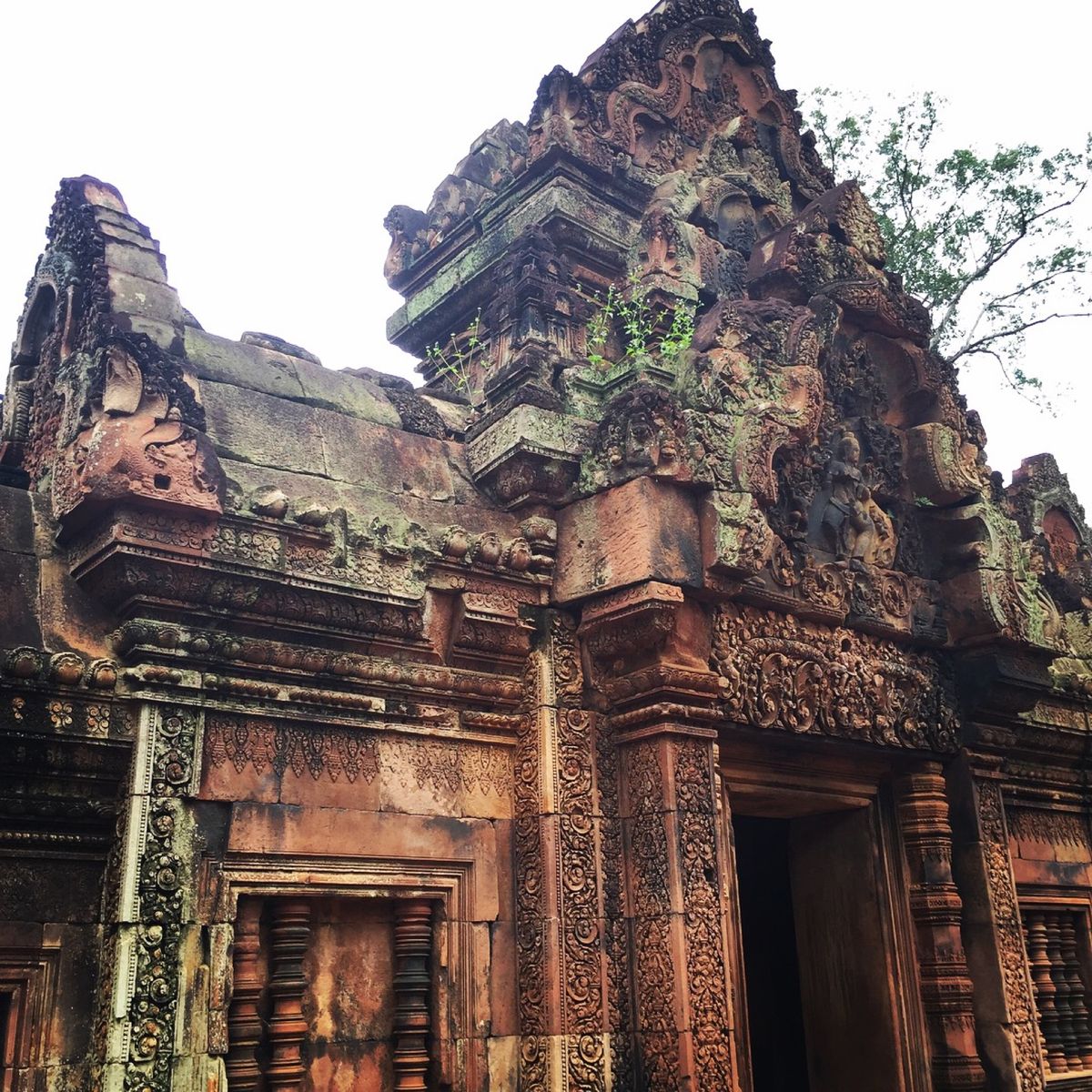 バンテアイ・スレイ បន្ទាយស្រី

どこを撮っても絵になる遺跡だった