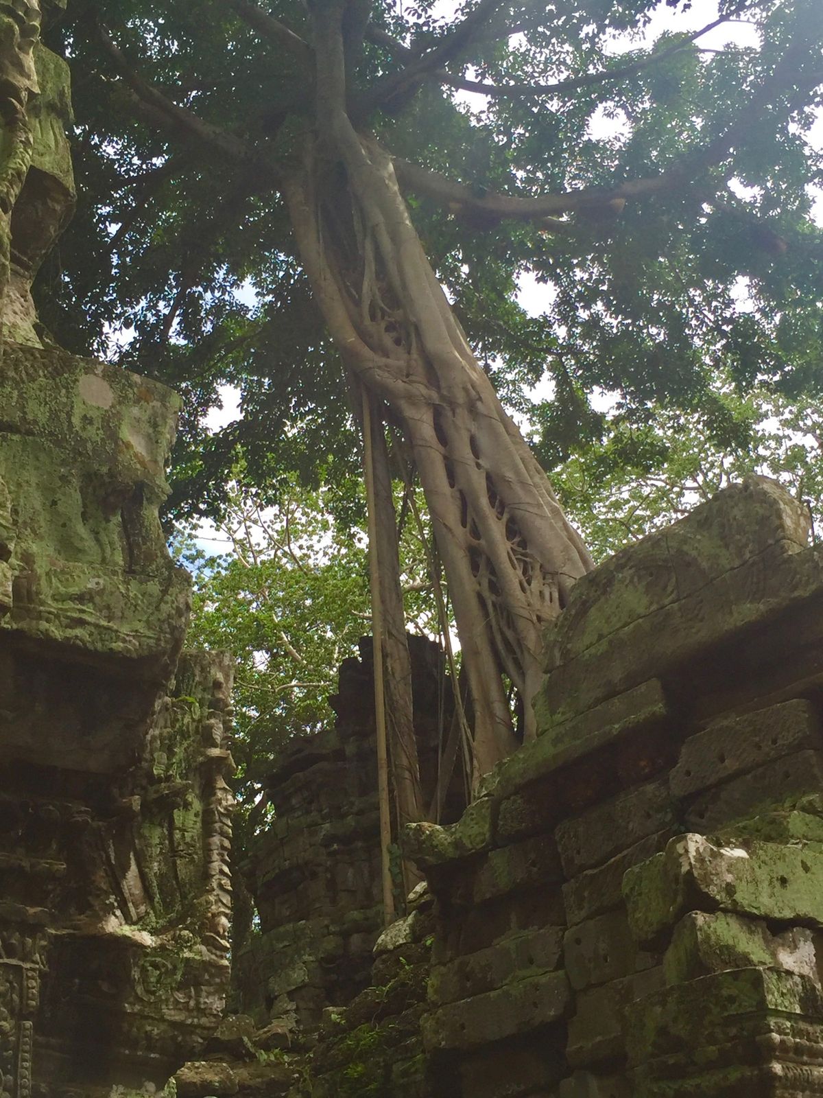 タ・プローム

木の隙間から仏像の顔がのぞいてるの良き