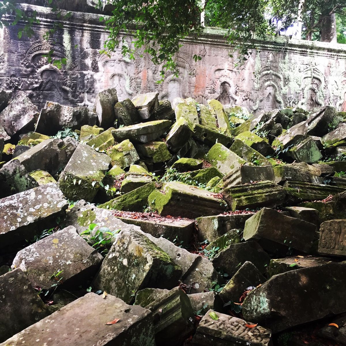 アンコール遺跡…かな？

後から見返すと
どこの遺跡の写真がさっぱりわから...