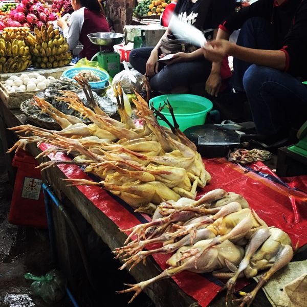 カンボジア・シェムリアップ「遺跡に圧倒された旅」の写真：Psah Chas

鳥足の迫力ったら…...