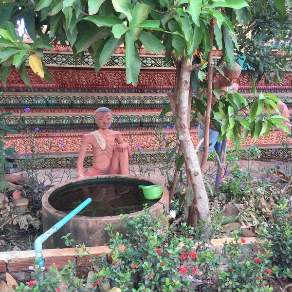 カンボジア・シェムリアップ「遺跡に圧倒された旅」の写真：ほのぼのとしてるなぁと思いながら見てたら...