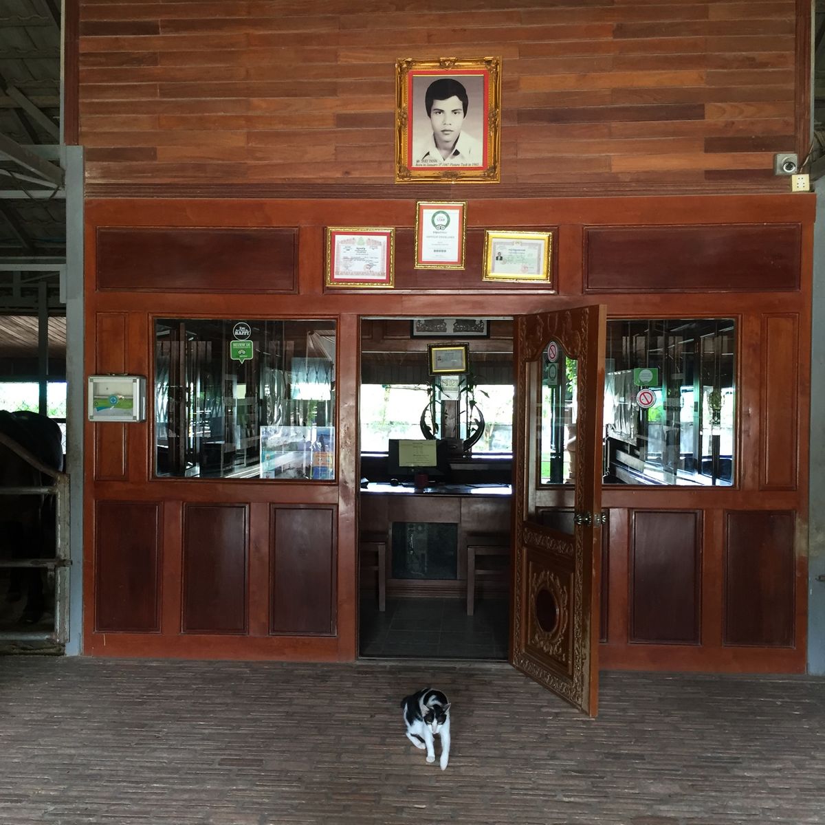 まずは厩舎を見学

ニャンコちゃんもいた🐈