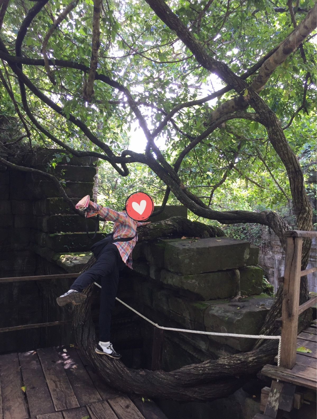 ベンメリア

なんかこの旅行中、どの写真みても顔がパンパンやん😂