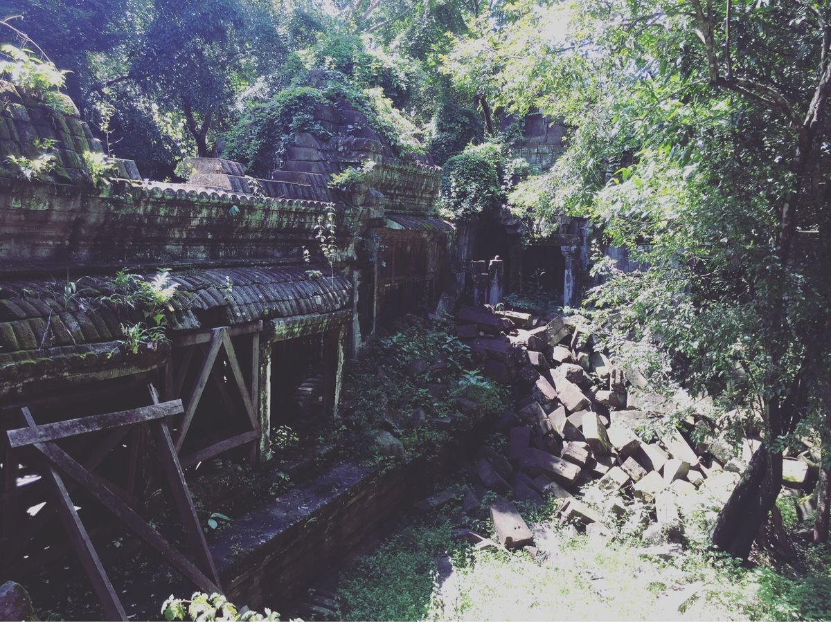 ベンメリア

本当にラピュタみたいな世界やなぁ