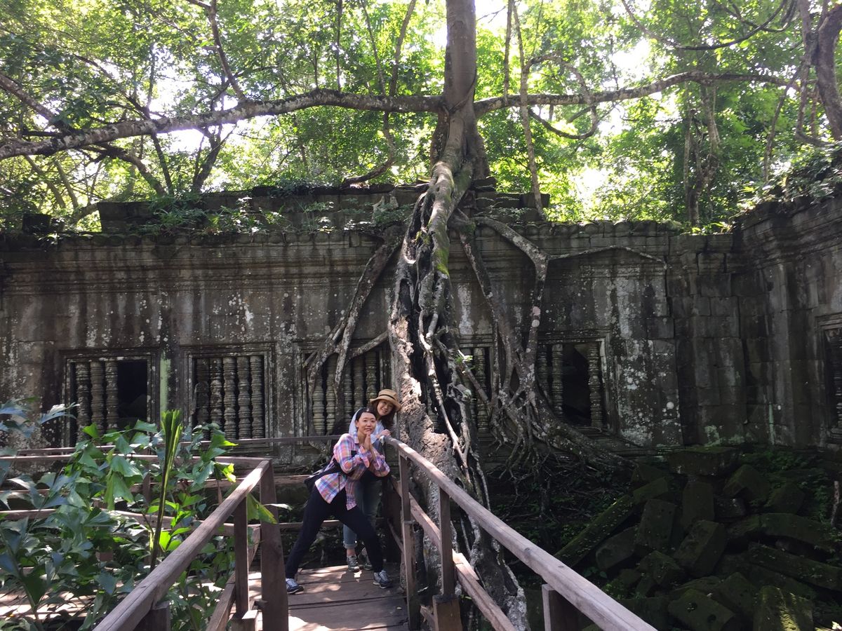 ベンメリア

なんかこの旅行中、どの写真みても顔がパンパンやん😂