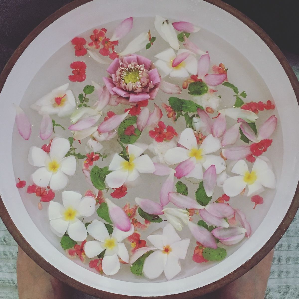 Frangipani Spa - SIEM REAP

最終日はスパでのん...