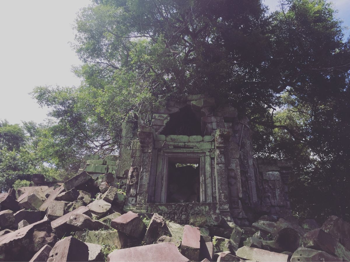 ベンメリア

本当にラピュタみたいな世界やなぁ