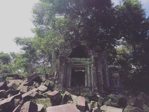 ベンメリア

本当にラピュタみたいな世界やなぁ