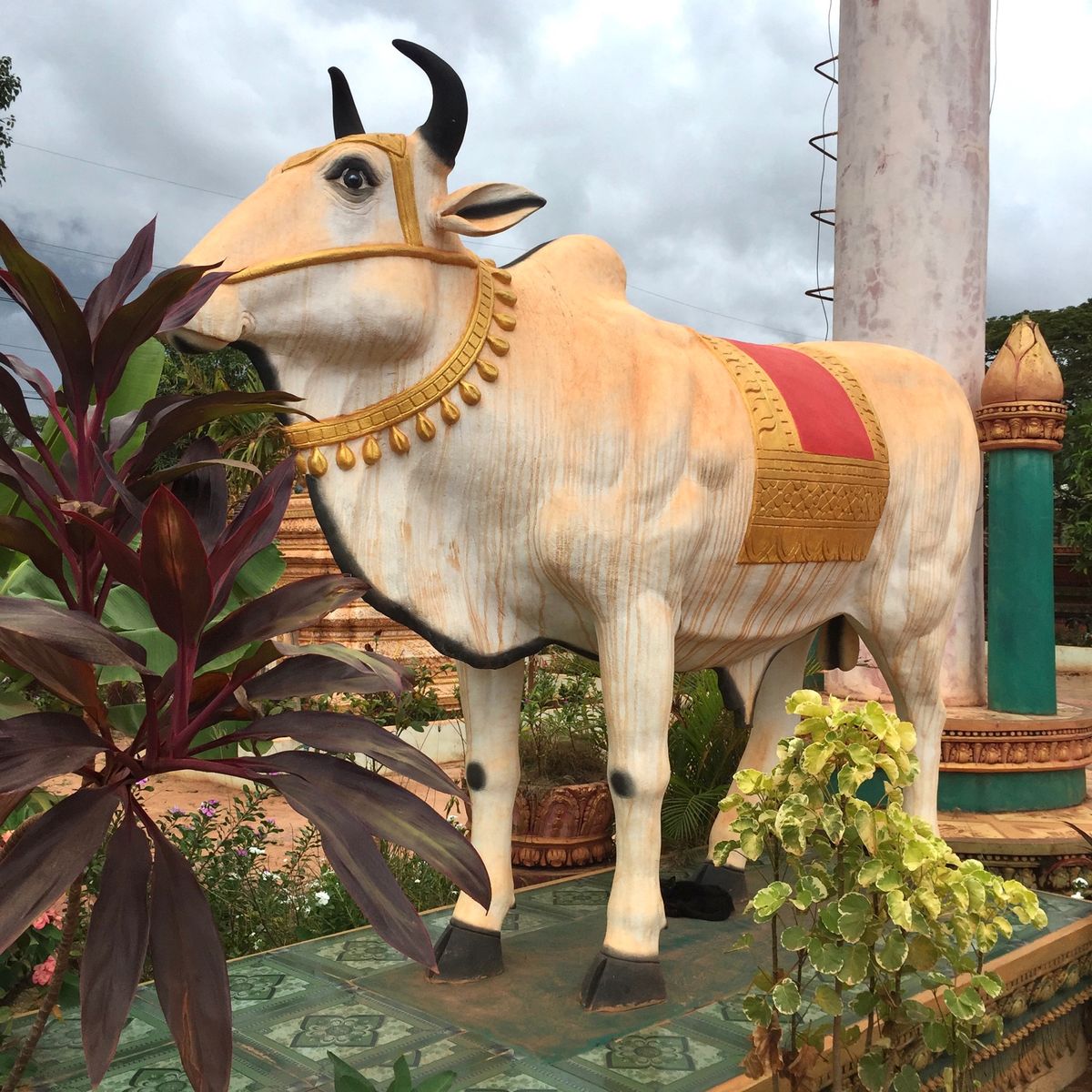 乗馬後に汗かいて
お漏らししてしまったような痕がついてしまったTさん😂

...