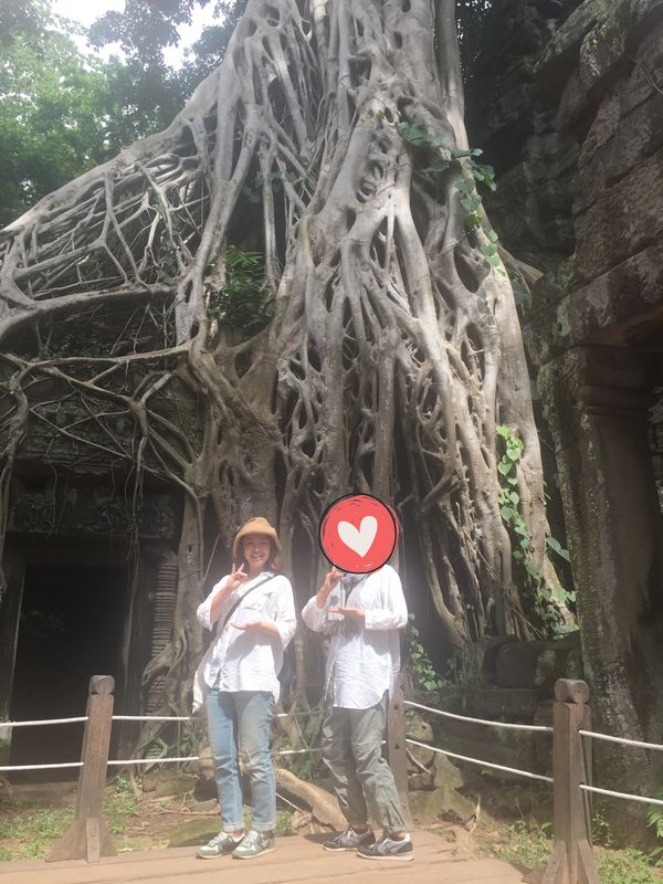 カンボジア・シェムリアップ「遺跡に圧倒された旅」の写真：タ・プローム

木の隙間から仏像の顔がの...