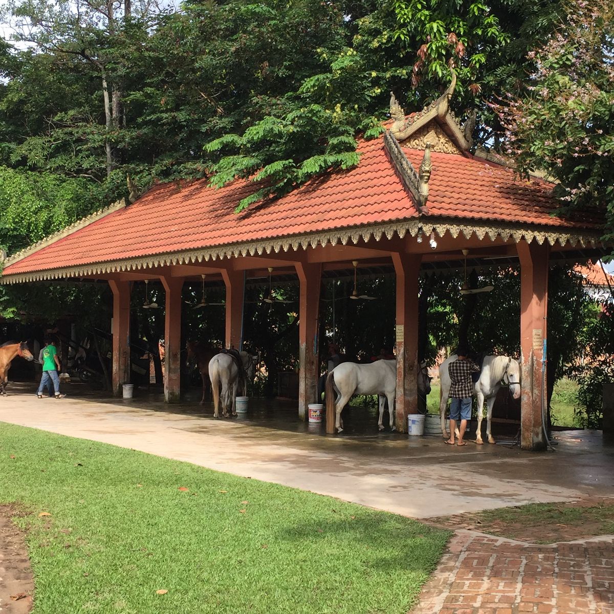 やたら陽気なお兄さんが
乗馬のインストラクター

乗馬姿のときの顔パンパン...