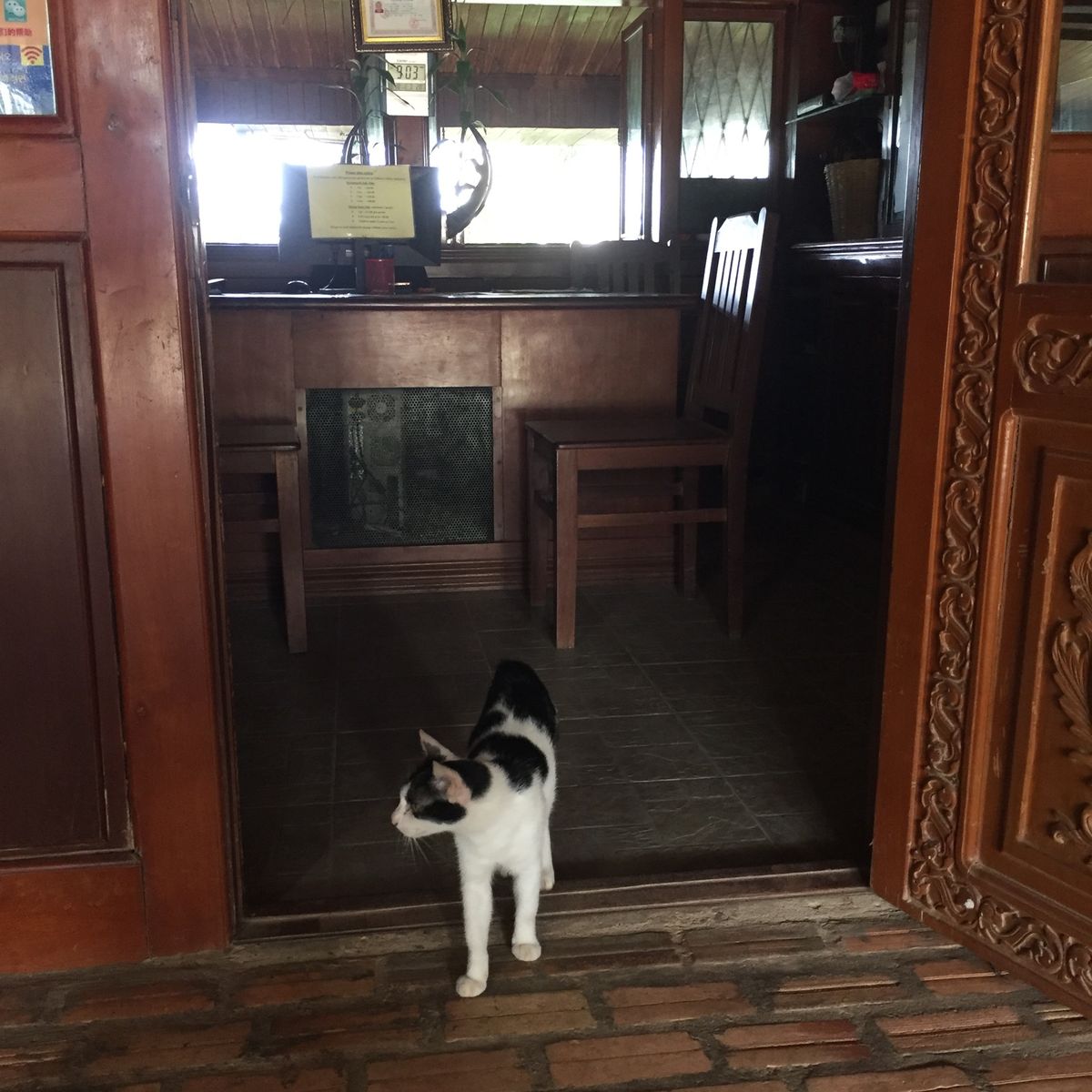 まずは厩舎を見学

ニャンコちゃんもいた🐈