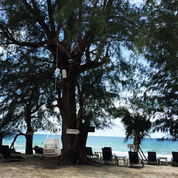 カンボジア・シェムリアップ「遺跡に圧倒された旅」の写真：ホワイト ブティックホテル ＆ レジデン...