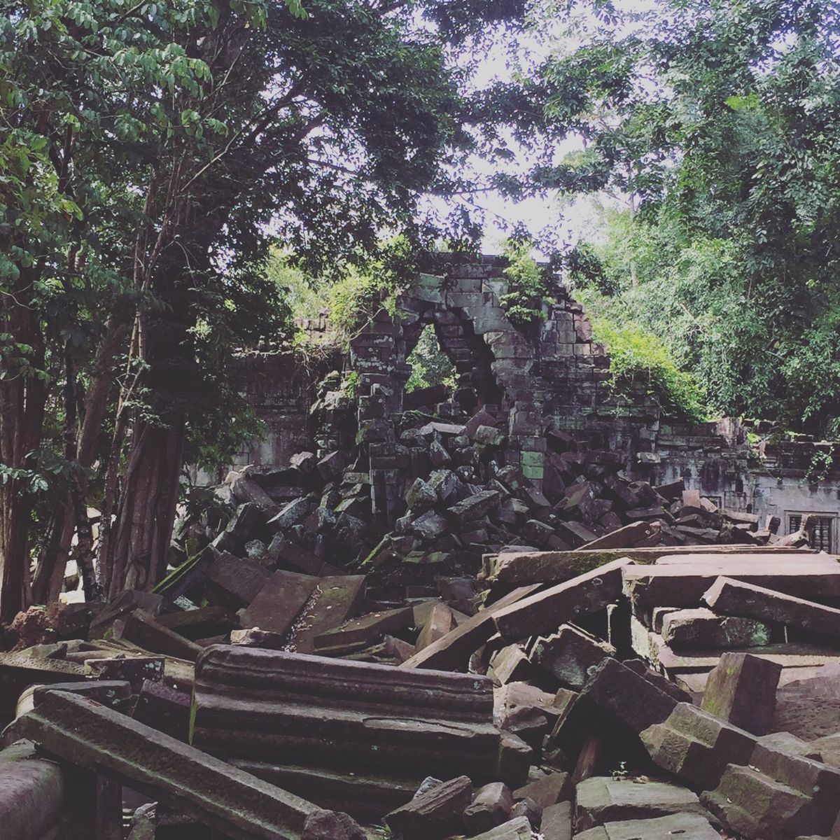 ベンメリア

ベンメリアの遺跡は蛇の像が印象的だった