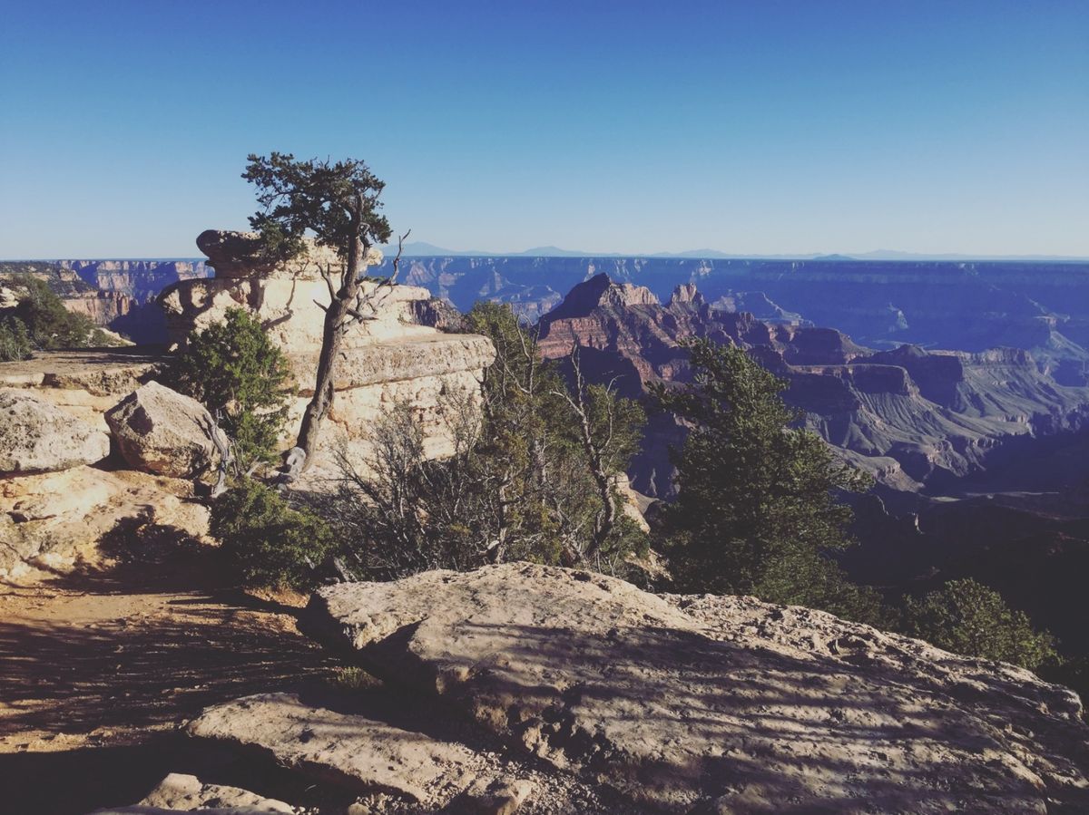 グランドキャニオン　ノースリム

柵なんてないから
普通に転げ落ちそうで結...
