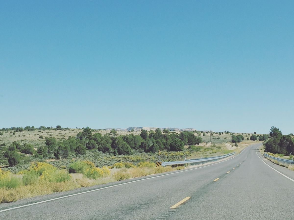 グランドキャニオンが近づいてくると
結構離れた距離からでもよくわかる
大き...