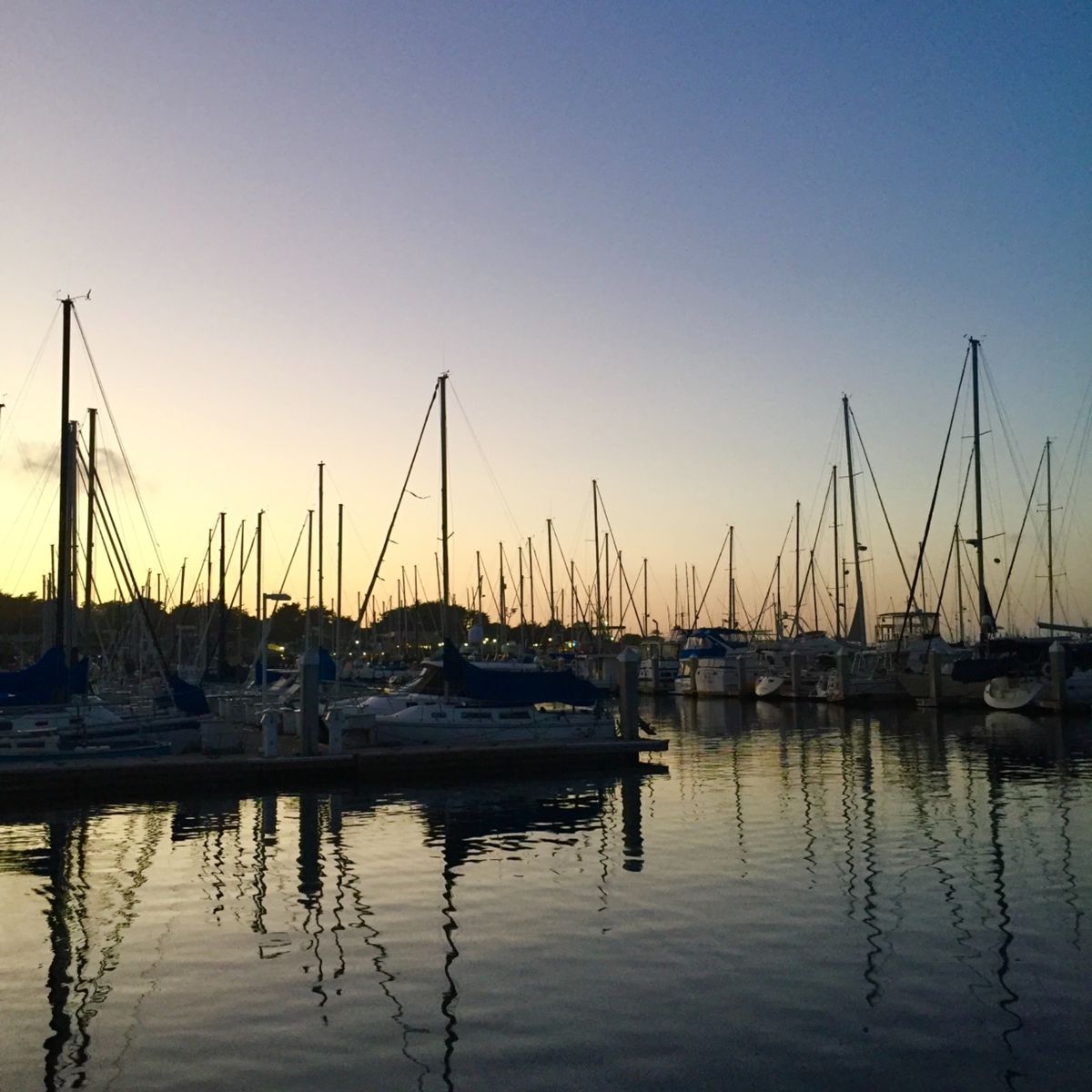 Old Fisherman's Wharf
Monterey Fish C...