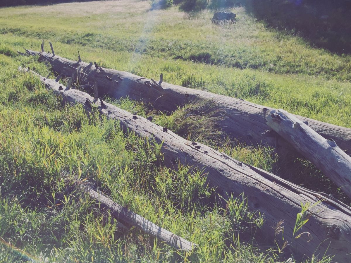 グランドキャニオンの北側から入ったルート67