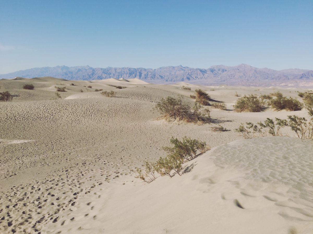 デス・バレー国立公園

まさにイメージ通りのデスバレーの風景だった！！