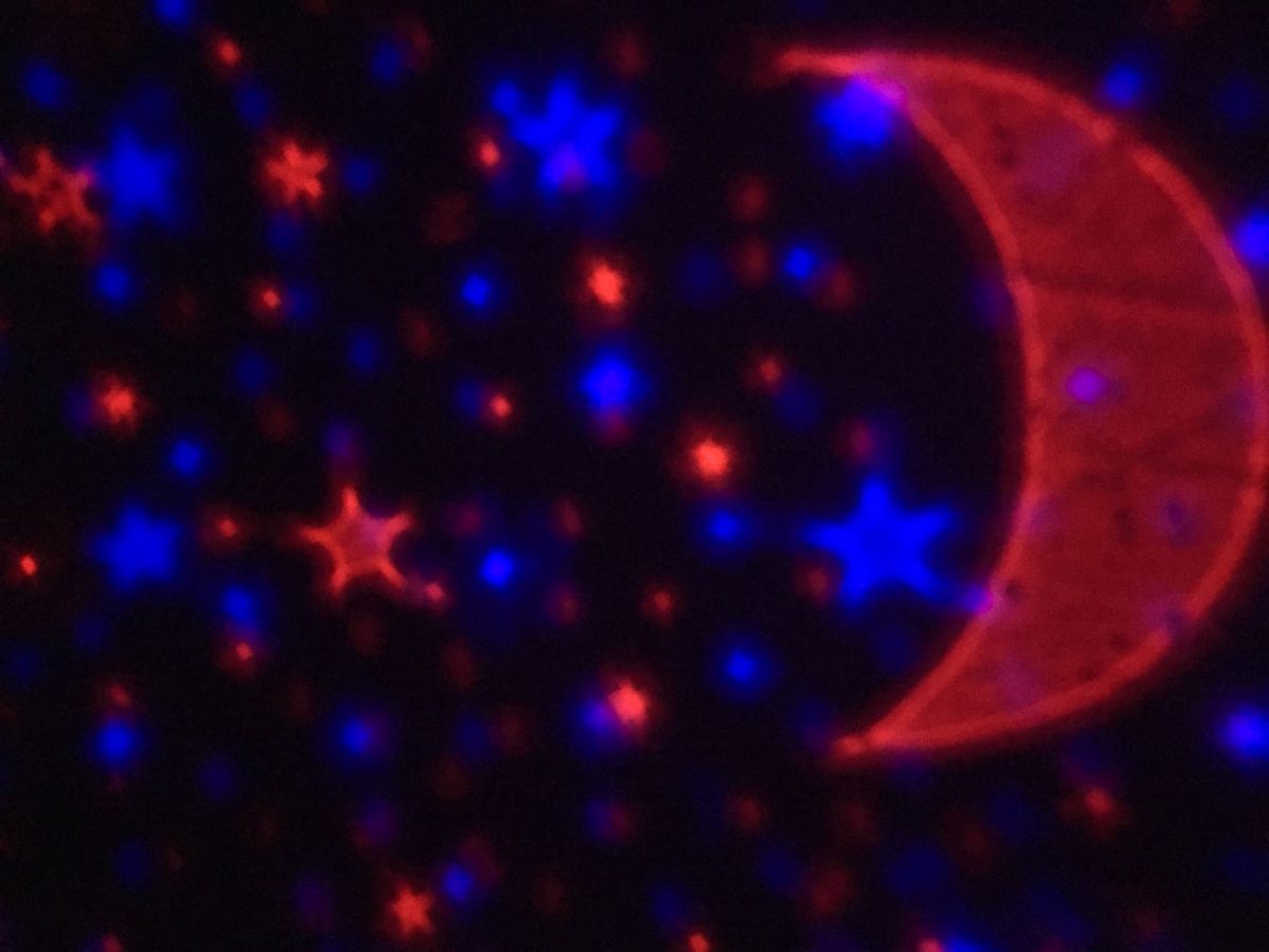 私が星を観るのが好きだから
サプライズでホーム用のプラネタリウムをプレゼン...