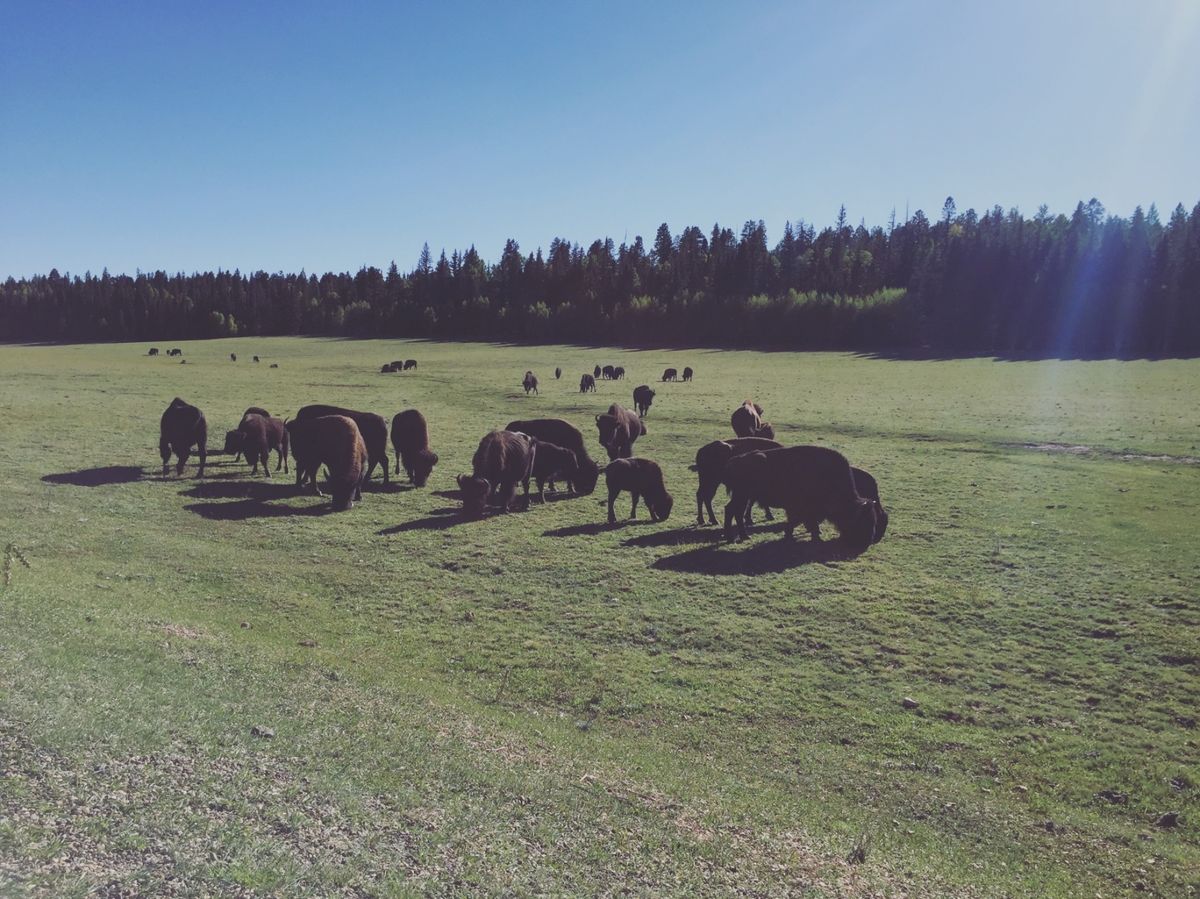 グランドキャニオンの北側から入ったルート67