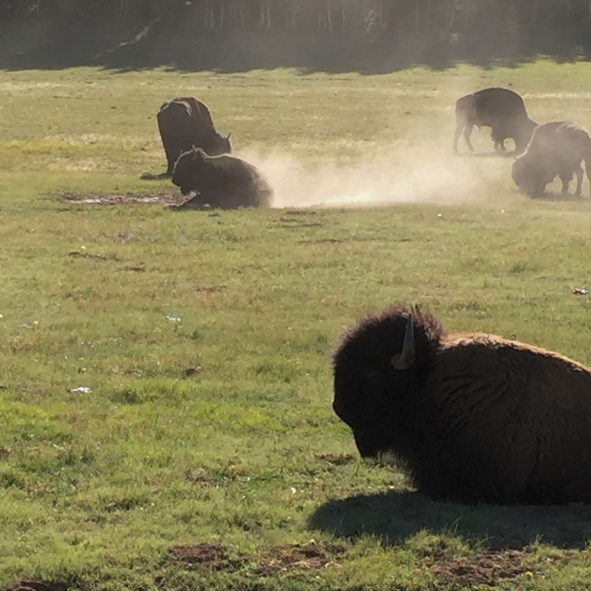 グランドキャニオンの北側から入ったルート67