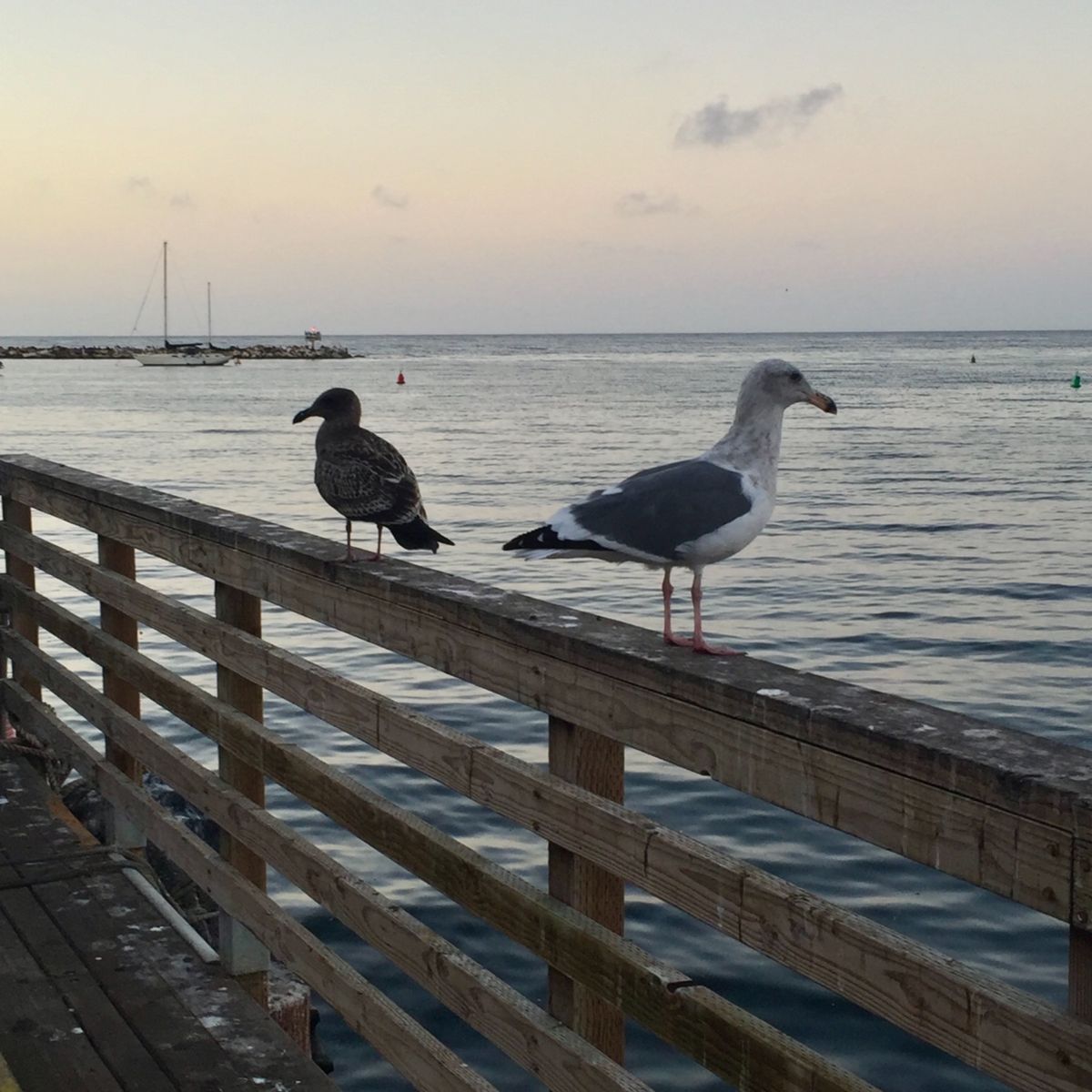 Old Fisherman's Wharf
Monterey Fish C...