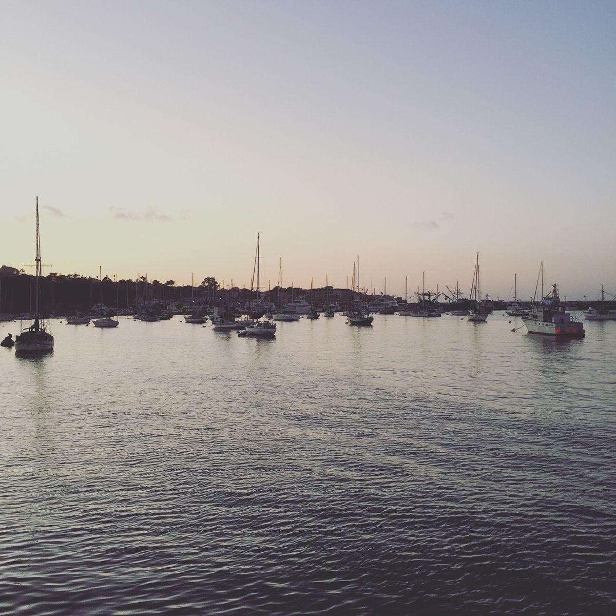 Old Fisherman's Wharf

シーフードを食べるついでに港を見学