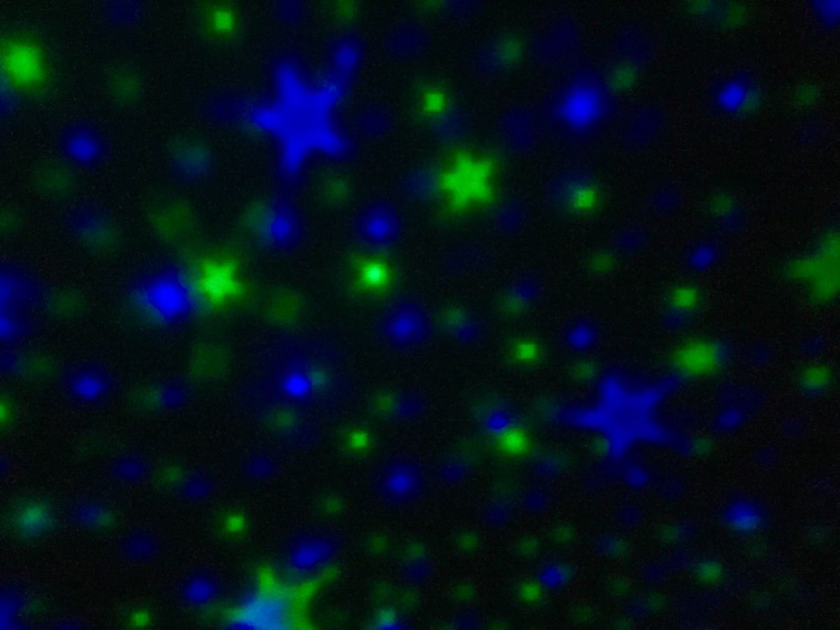 私が星を観るのが好きだから
サプライズでホーム用のプラネタリウムをプレゼン...