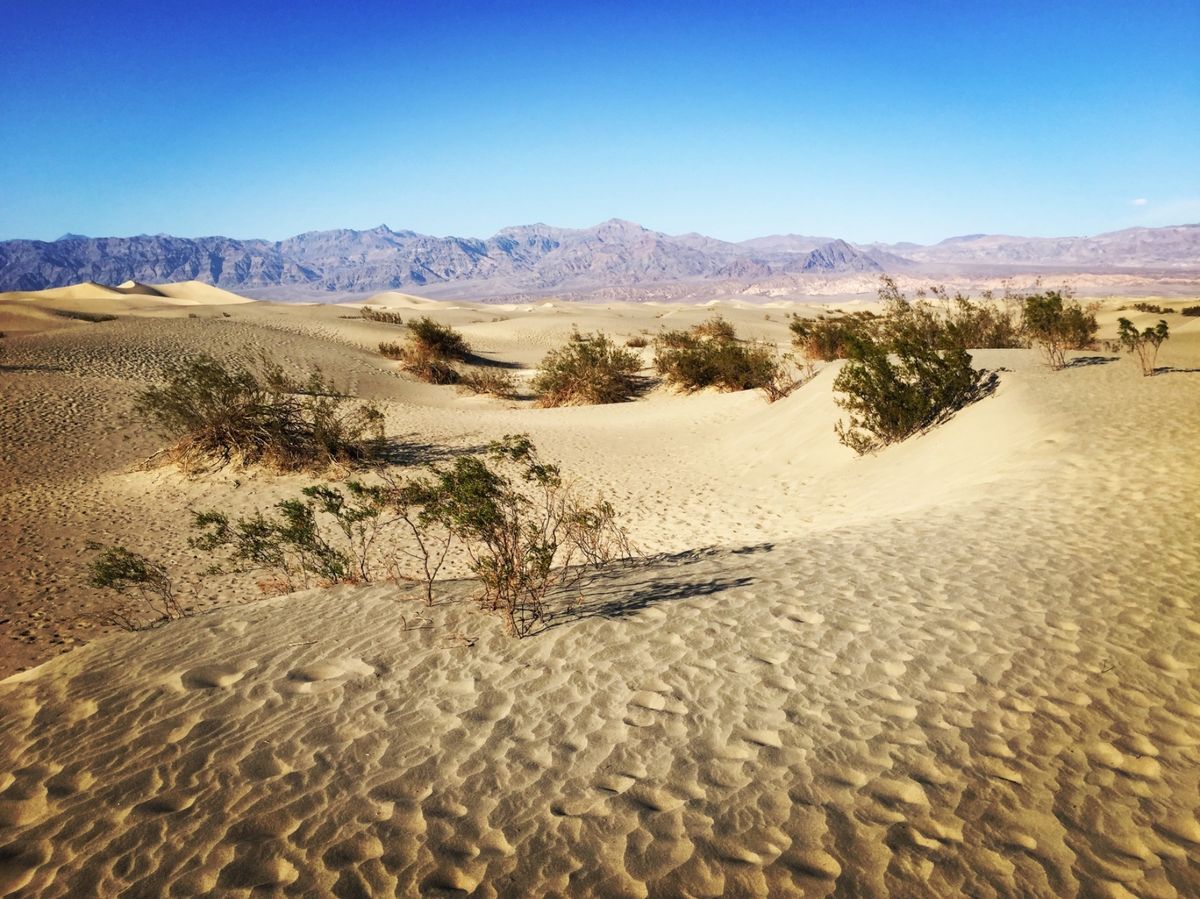 デス・バレー国立公園

まさにイメージ通りのデスバレーの風景だった！！