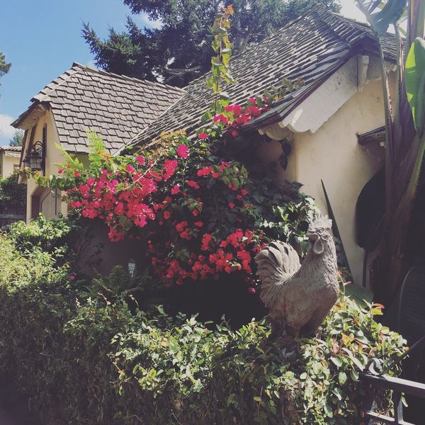 アメリカ(米国)・サンフランシスコ「海外初ドライブの旅！」の写真：カーメル・バイ・ザ・シー Carmel-...