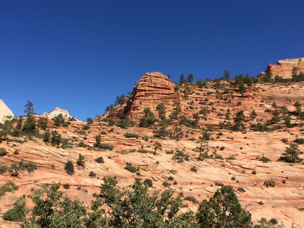 ザイオン国立公園

縞縞模様の層が印象的
似たような景色なんだけど
ついつ...
